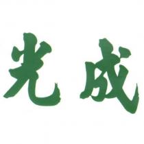 光成