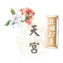 北緯 28 度天宮及設計圖