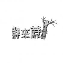 鮮來蔗及圖