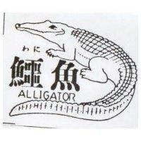 鱷魚及圖 ALLIGATOR わに 
