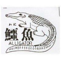 鱷魚及圖 ALLIGATOR わに 