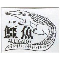 鱷魚及圖 ALLIGATOR わに 