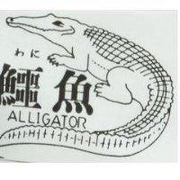 鱷魚及圖 ALLIGATOR わに