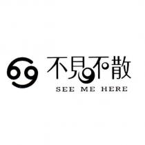 不見不散 SEE ME HERE 及圖