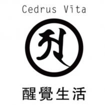 醒覺生活 Cedrus Vita 及圖
