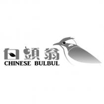 白頭翁 CHINESE BULBUL 及圖