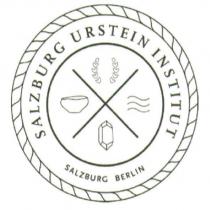 SALZBURG URSTEIN INSTITUT SALZBURG BERLIN and Device