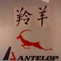 羚羊及圖 ANTELOP 