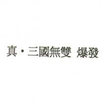 真‧三國無雙 爆發
