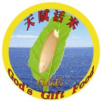 G.G.F.天賦活米及圖