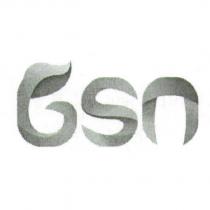 GSN 設計字