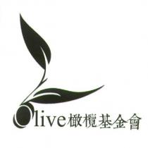 Olive 橄欖基金會設計圖