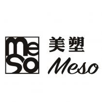 美塑 meso 及圖