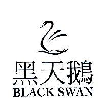 黑天鵝 BLACK SWAN 及圖