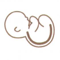 嬰兒圖