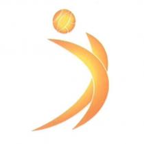 Beach Volleyball Major Series Device in color