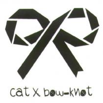 Cat x bow-knot 及圖