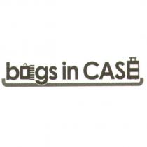 BAGS IN CASE 及圖