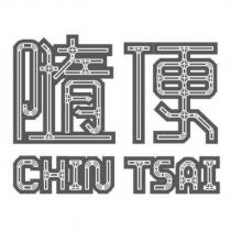 隨便 CHIN TSAI