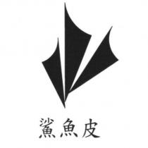 鯊魚皮及圖