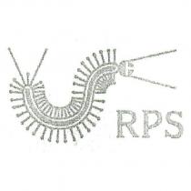 蜈蚣圖 RPS