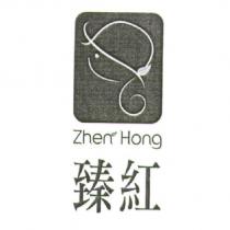 臻紅 Zhen Hong 及圖