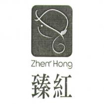 臻紅 Zhen Hong 及圖