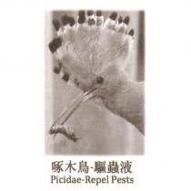 啄木鳥 驅蟲液 Picidae-Repel Pests 及圖