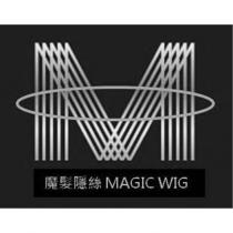 魔髮隱絲 MAGIC WIG 及圖