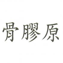 骨膠原