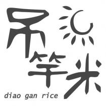 吊竿米 diao gan rice 及圖