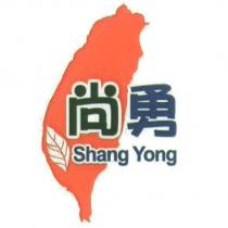 尚勇 Shang Yong 及圖