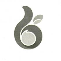 果子與葉片設計圖