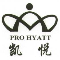 凱悅 PRO HYATT 及圖