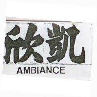 欣凱 AMBIANCE 