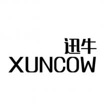 迅牛 XUNCOW