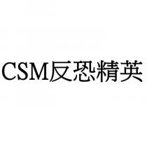 CSM 反恐精英