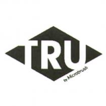 TRU BY MICROBRUSH Logo Design
