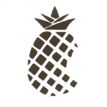 鳳梨圖形