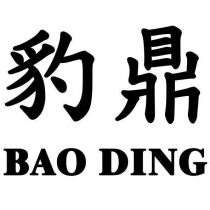 豹鼎 BAO DING