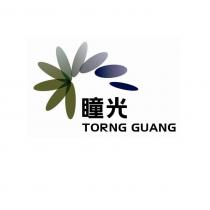 瞳光 TORNG GUANG 及圖