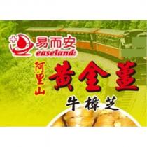 易而安阿里山黃金薑牛樟芝 easeland 及圖