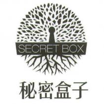 秘密盒子及圖 SECRET BOX