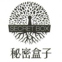 秘密盒子及圖 SECRET BOX