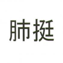 肺挺