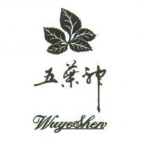 五葉神 Wuyeshen 及圖