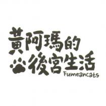 黃阿瑪的後宮生活 Fumeancats 及圖
