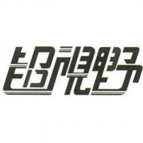 超視野及設計字