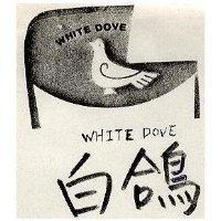 白鴿及圖 WHITE DOVE