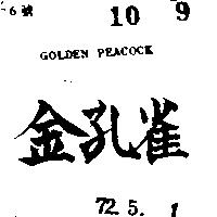 金孔雀 GOLDEN PEACOCK
